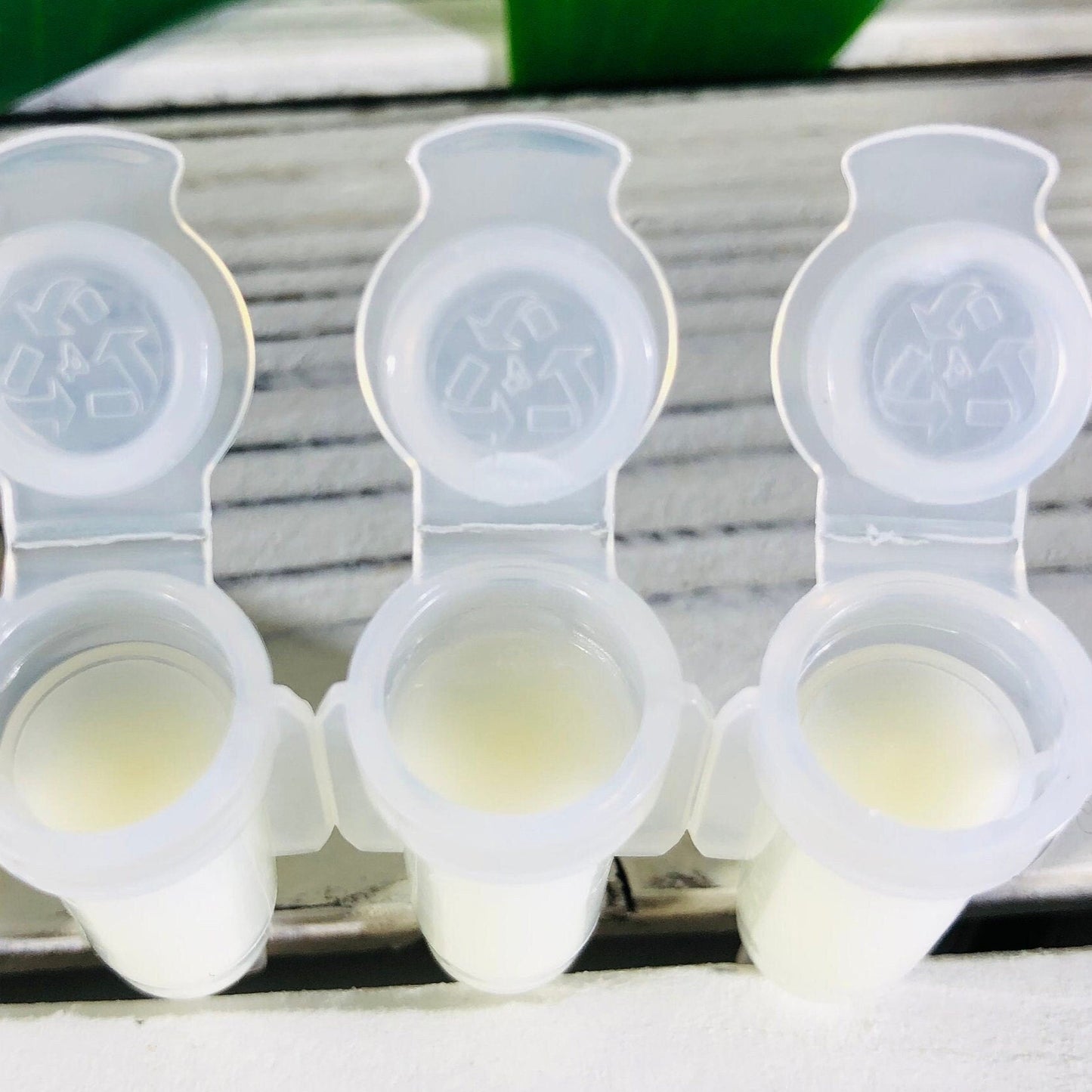 Moist On Purrpose Kitty Melts